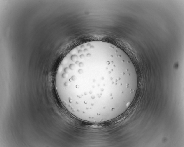 X0000099560366200805160756