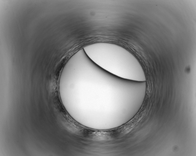 X0000099560367200805160756