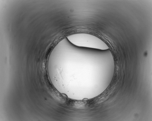 X0000099560373200805160756