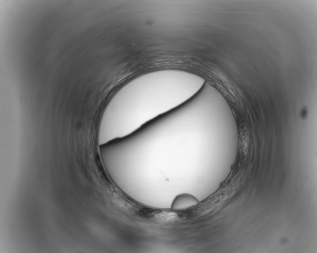 X0000099560374200805160756