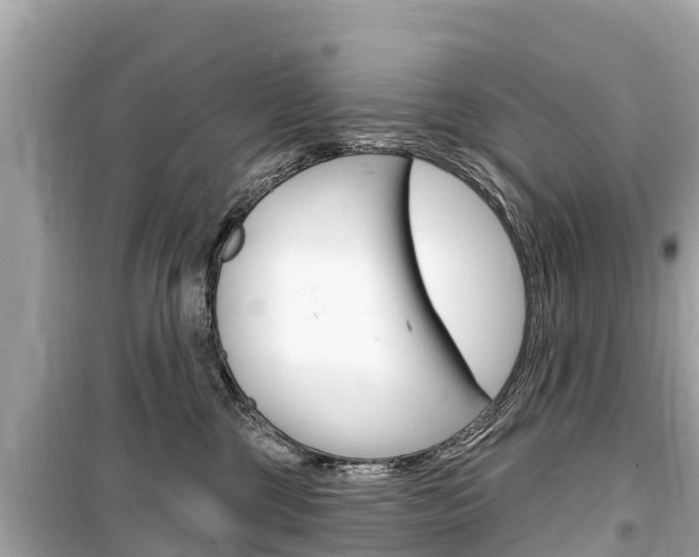X0000099560377200805160756
