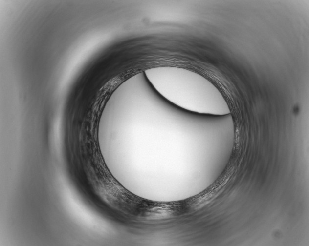 X0000099560381200805160756