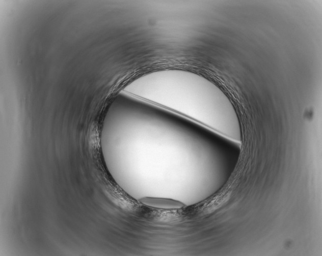 X0000099560384200805160756