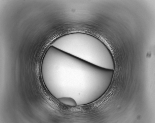 X0000099560386200805160755