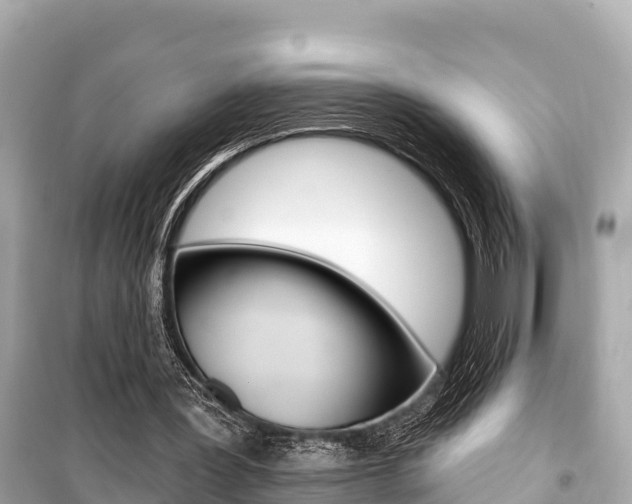 X0000099560387200805160755