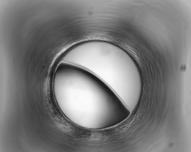 X0000099560388200805160755