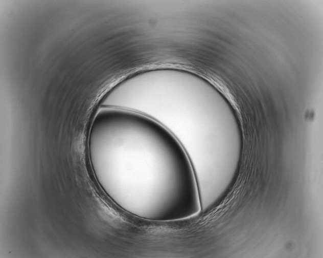 X0000099560389200805160755