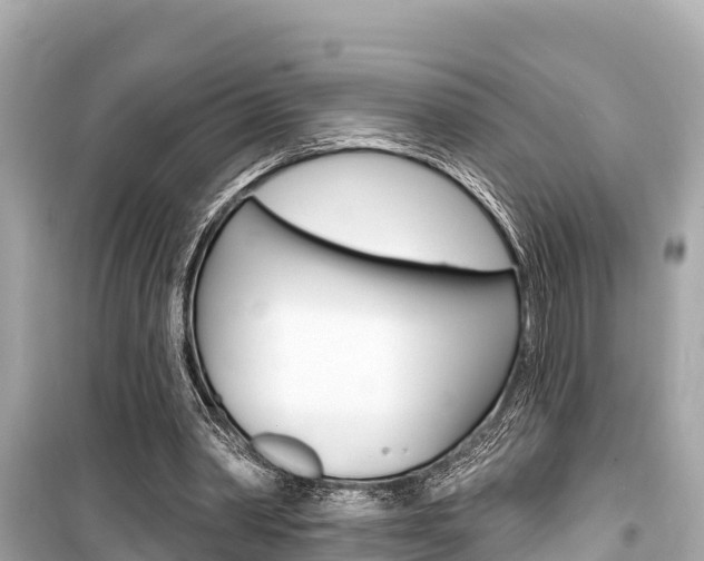 X0000099560390200805160755