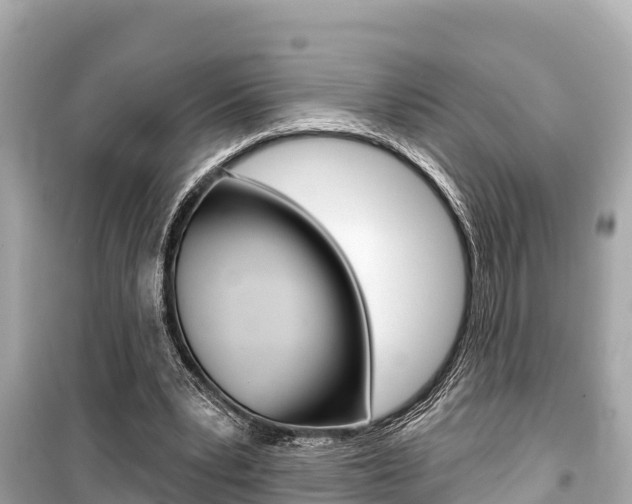 X0000099560391200805160755
