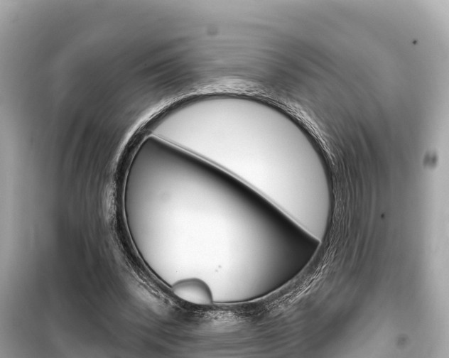 X0000099560392200805160755