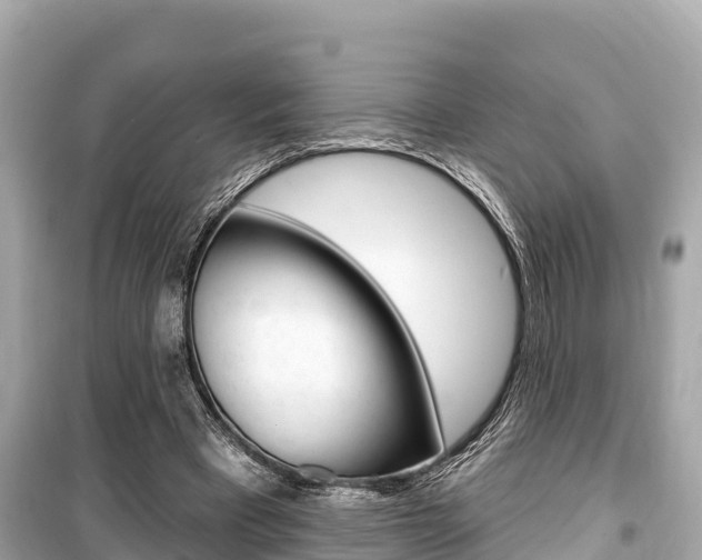 X0000099560393200805160755