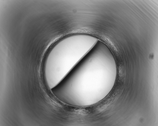 X0000099560396200805160755