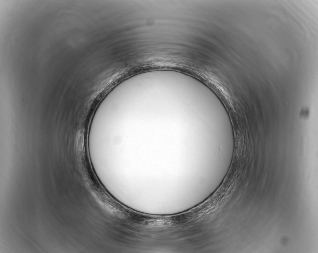 X0000099560398200805160755