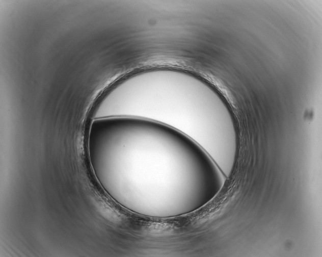 X0000099560399200805160755