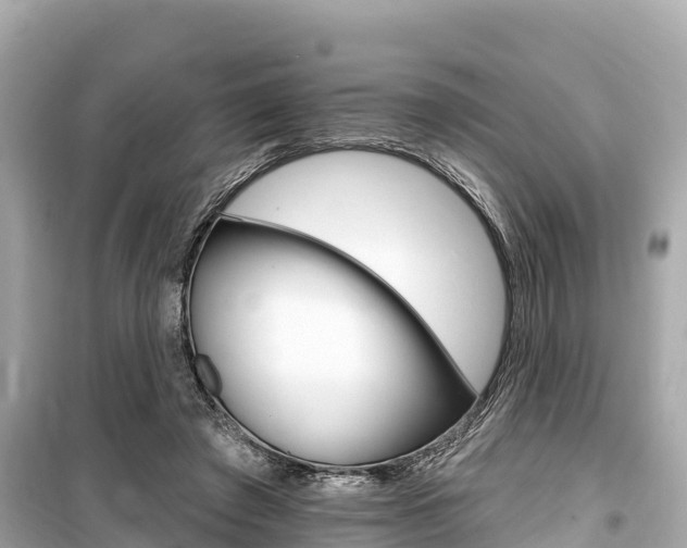 X0000099560401200805160755