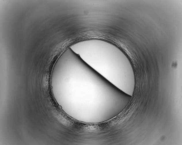 X0000099560402200805160755