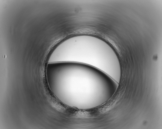 X0000099560403200805160755