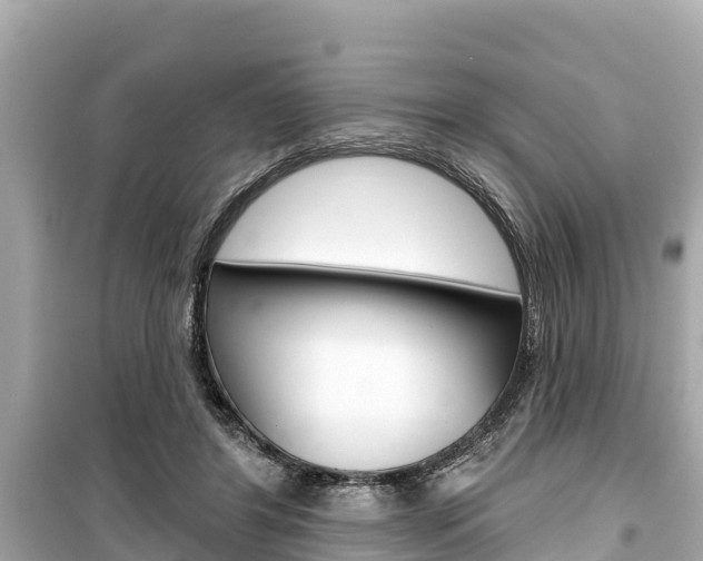 X0000099560404200805160755