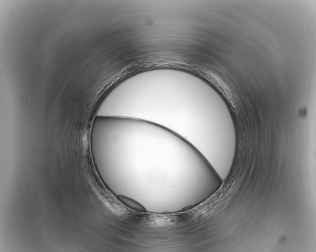 X0000099560405200805160755