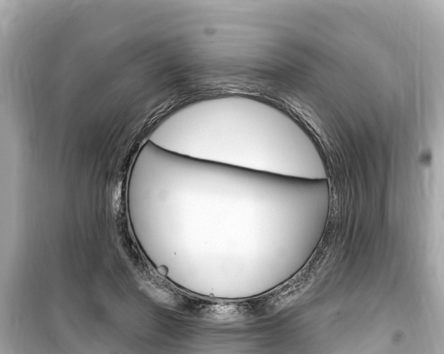 X0000099560406200805160755
