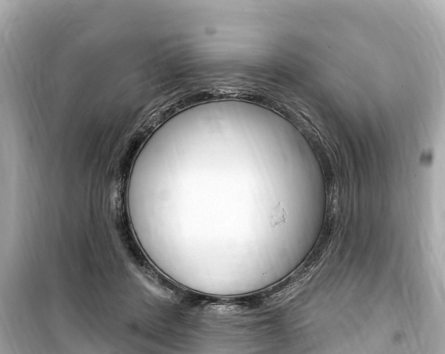 X0000099560408200805160755
