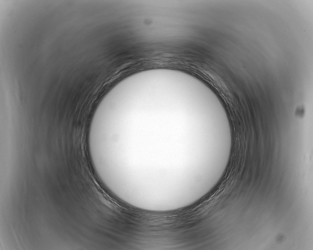 X0000099560409200805160755