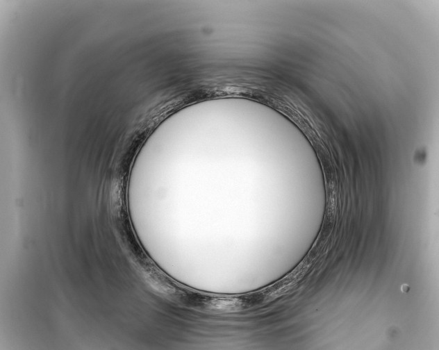 X0000099560410200805160755