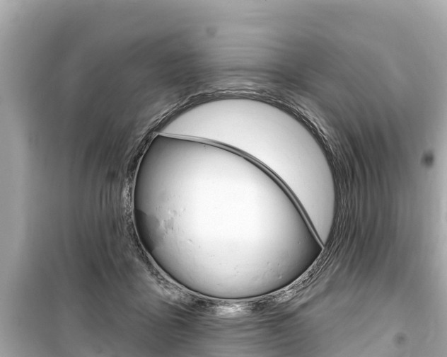 X0000099560411200805160755