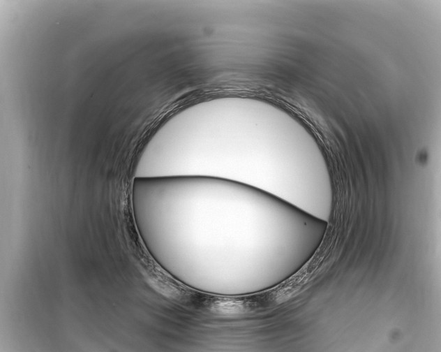 X0000099560413200805160755