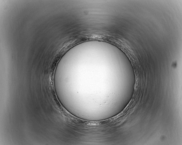 X0000099560415200805160755