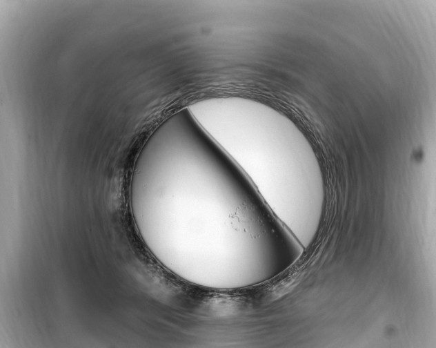 X0000099560416200805160755