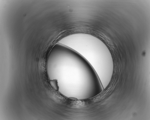 X0000099560421200805160755