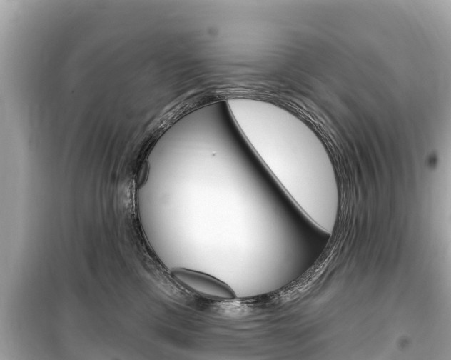 X0000099560425200805160755