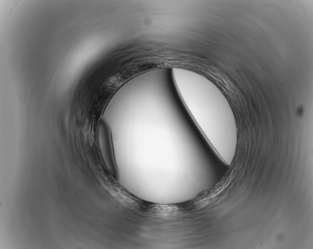 X0000099560429200805160755