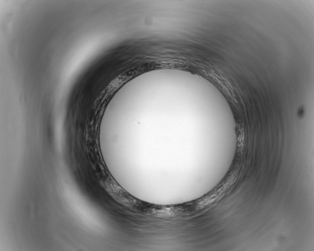 X0000099560430200805160755