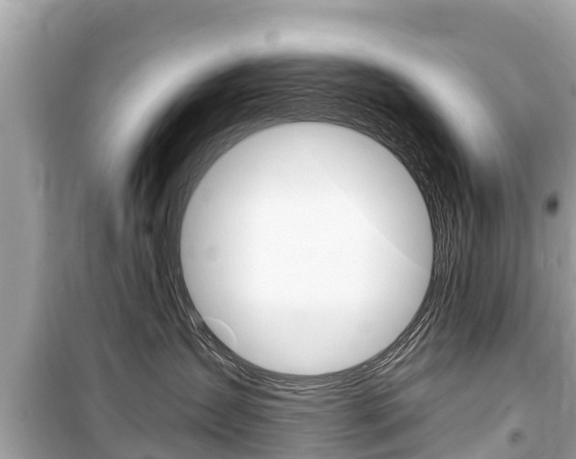 X0000099560431200805160755