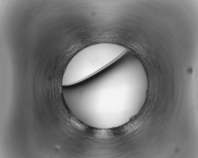 X0000099560432200805160755