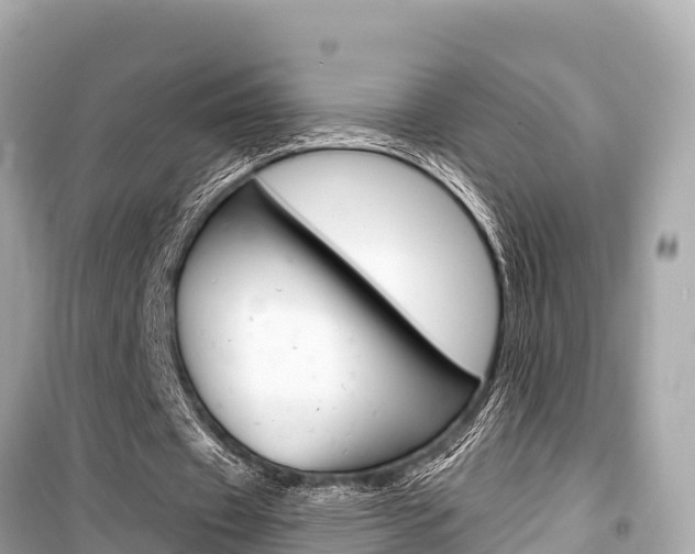 X0000099560433200805160754