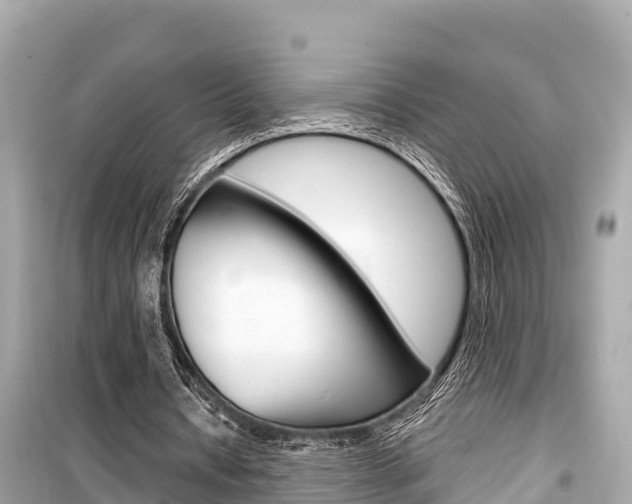 X0000099560434200805160754
