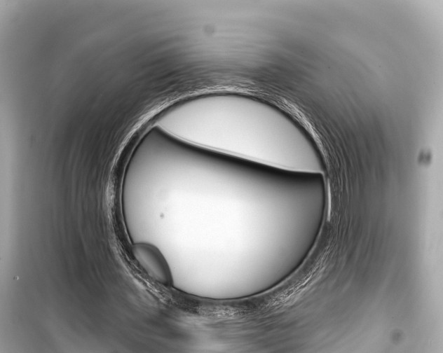 X0000099560435200805160754