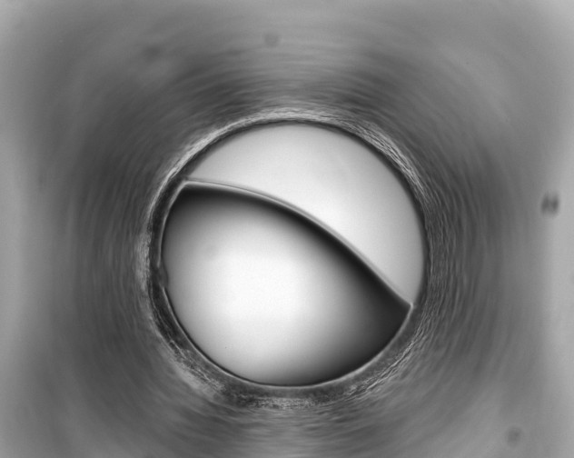 X0000099560436200805160754