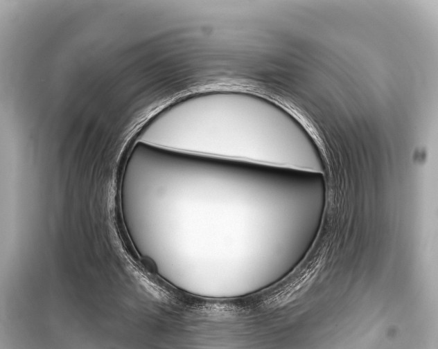 X0000099560437200805160754