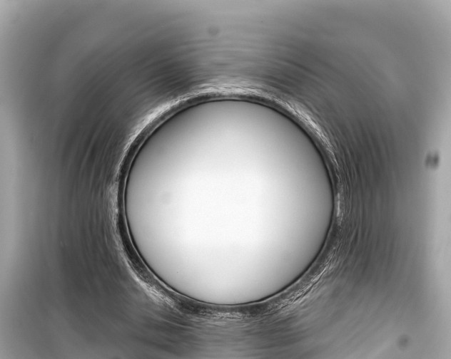 X0000099560438200805160754