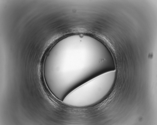 X0000099560439200805160754