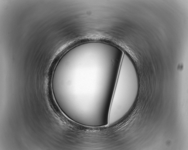 X0000099560440200805160754