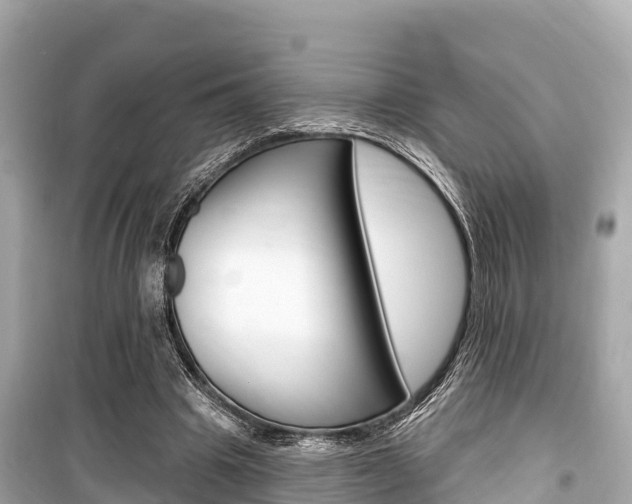 X0000099560441200805160754
