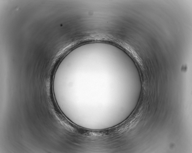 X0000099560442200805160754