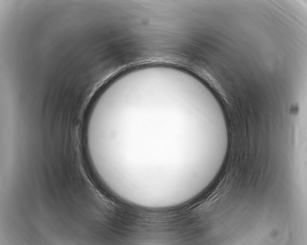 X0000099560444200805160754