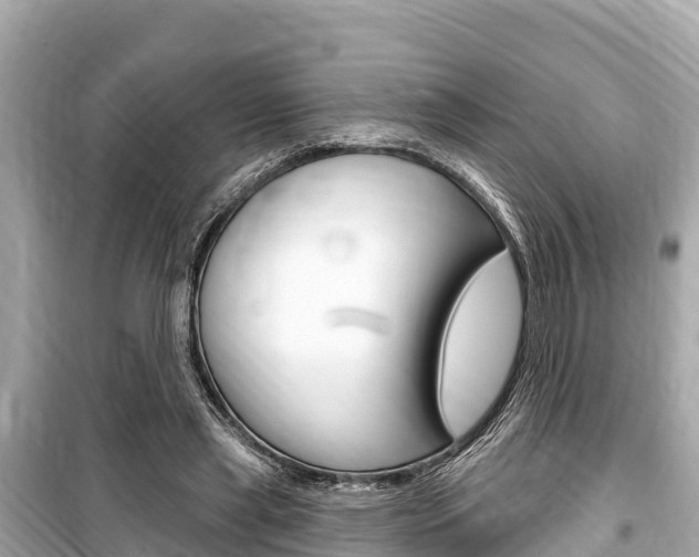 X0000099560445200805160754