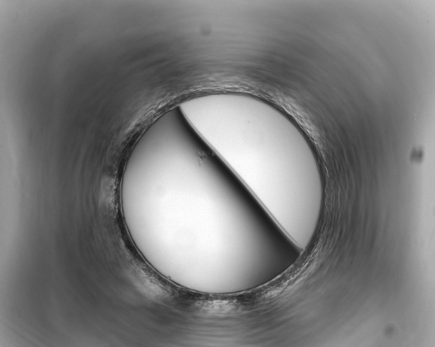 X0000099560449200805160754